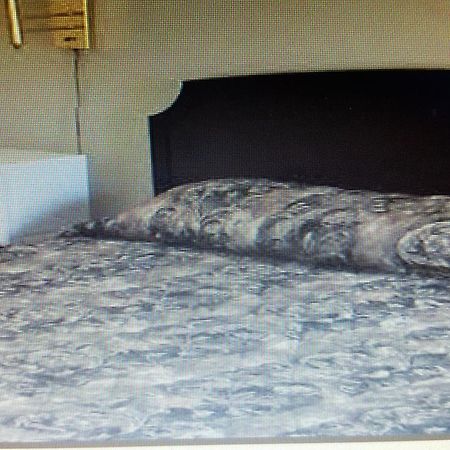 Relax Inn Montour Falls ภายนอก รูปภาพ
